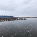 The authors roommate skates across Potter Marsh, just outside of Anchorage. (Photo by Kat Sorensen/Peninsula Clarion)