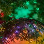 A quiet moment under the Christmas tree. Photo by Kerry Howard.