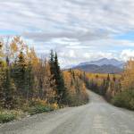 Autumn arrives on Skilak Lake Road in October 2018. (Photo by Leah Eskelin/USFWS)