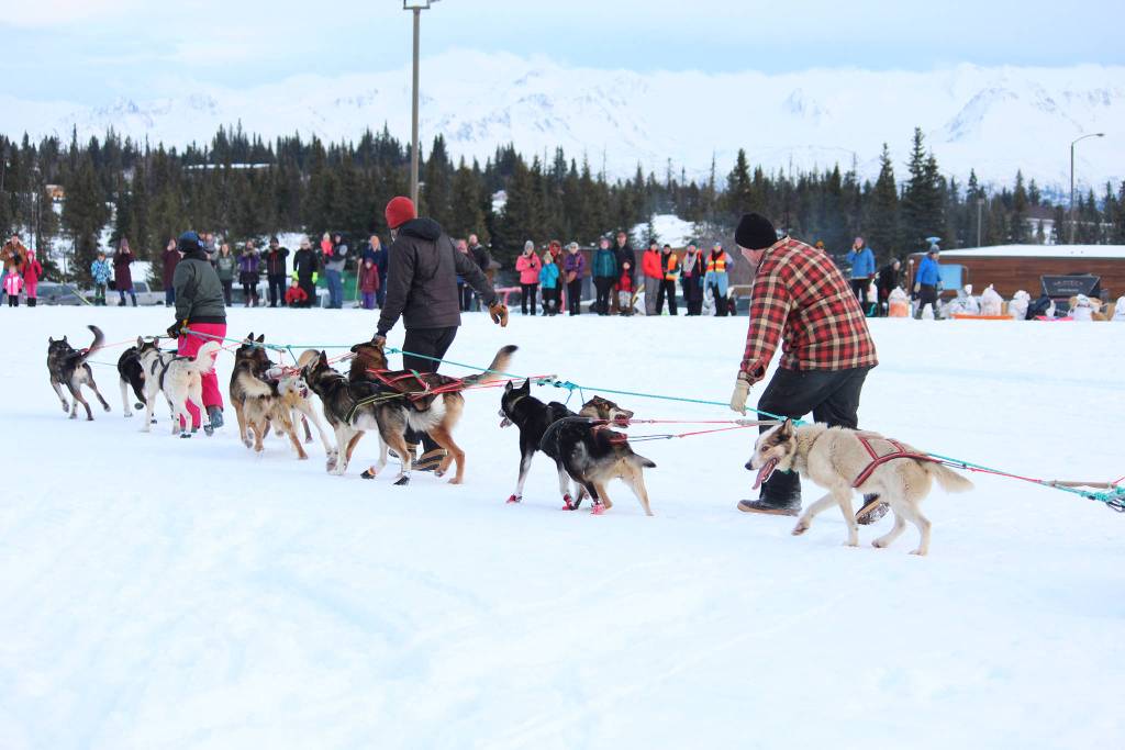 Volunteers for the Tustumena 200 Sled Dog Race help guide a dog team into place for a rest Saturday, Jan. 26, 2019 at the McNeil Canyon Elementary School race checkpoint near Homer, Alaska. (Photo by Megan Pacer/Homer News)
