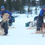 Kristy and Anna Berington lay out hay for their respective dog teams at the first checkpoint of this years Tustumena 200 Sled Dog Race on Saturday, Jan. 26, 2019 at McNeil Canyon Elementary School near Homer, Alaska. (Photo by Megan Pacer/Homer News)