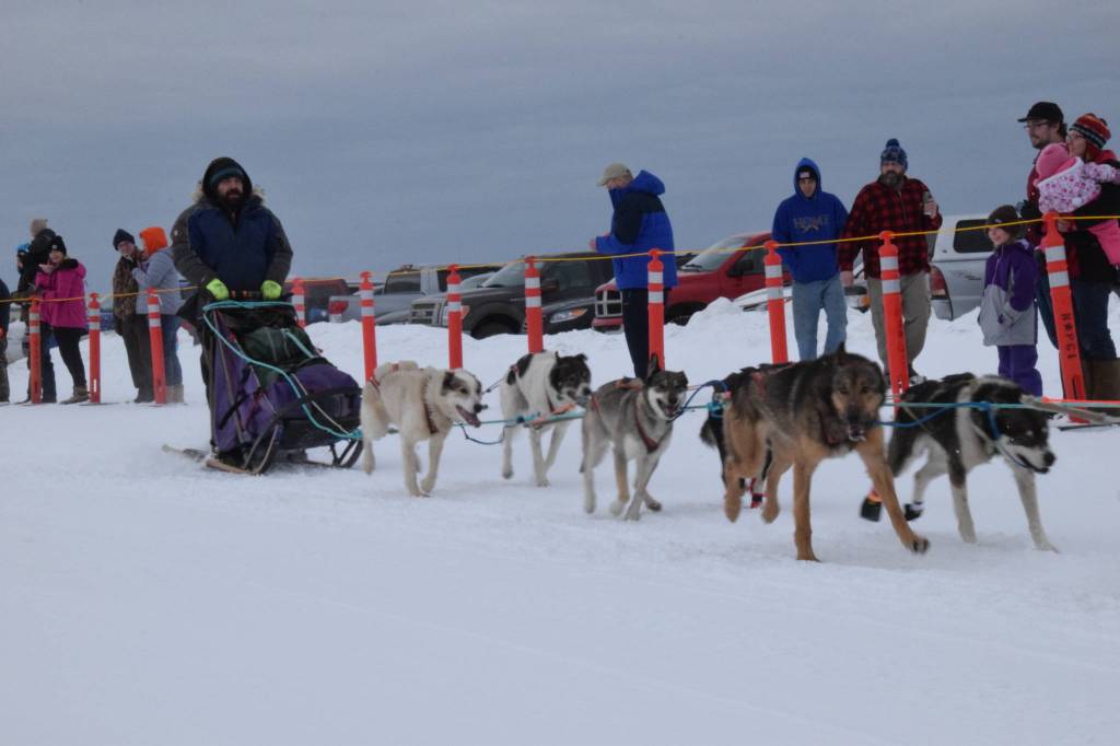 Musher teams competing in the Tustumena 200 Sled Dog Race take off from Freddies Roadhouse on Saturday, Jan. 26, 2019 in Ninilchik, Alaska. (Photo by Brian Mazurek/Peninsula Clarion)