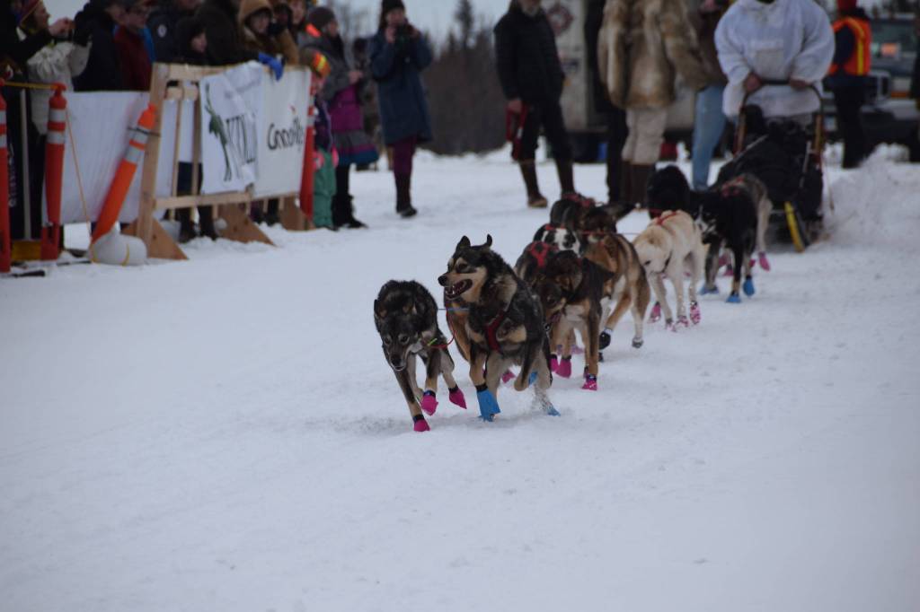 Musher teams competing in the Tustumena 200 Sled Dog Race take off from Freddies Roadhouse on Saturday, Jan. 26, 2019 in Ninilchik, Alaska. (Photo by Brian Mazurek/Peninsula Clarion)