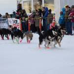 Musher teams competing in the Tustumena 200 Sled Dog Race take off from Freddies Roadhouse on Saturday, Jan. 26, 2019 in Ninilchik, Alaska. (Photo by Brian Mazurek/Peninsula Clarion)