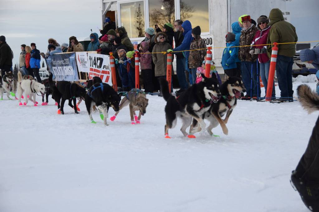 Musher teams competing in the Tustumena 200 Sled Dog Race take off from Freddies Roadhouse on Saturday, Jan. 26, 2019 in Ninilchik, Alaska. (Photo by Brian Mazurek/Peninsula Clarion)