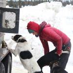 Musher Eli Campbell unloads a dog from a truck Sunday, Jan. 27, 2019 at Freddies Roadhouse near Ninilchik, Alaska, the start and finish line of this years Tustumena 200 Sled Dog Race. Campbell won the T100 race in 12 hours, 12 minutes, while her partner, Dave Turner, won the T200 this year after placing third in 2017 and 2018. (Photo by Megan Pacer/Homer News)