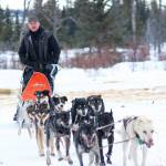 Musher Dave Turner pulls up to the finish line of the Tustumena 200 Sled Dog Race on Sunday at Freddies Roadhouse near Ninilchik. Turner took first place in the race that takes dog teams throughout the Caribou Hills on the lower Kenai Peninsula. (Photo by Megan Pacer/Homer News)