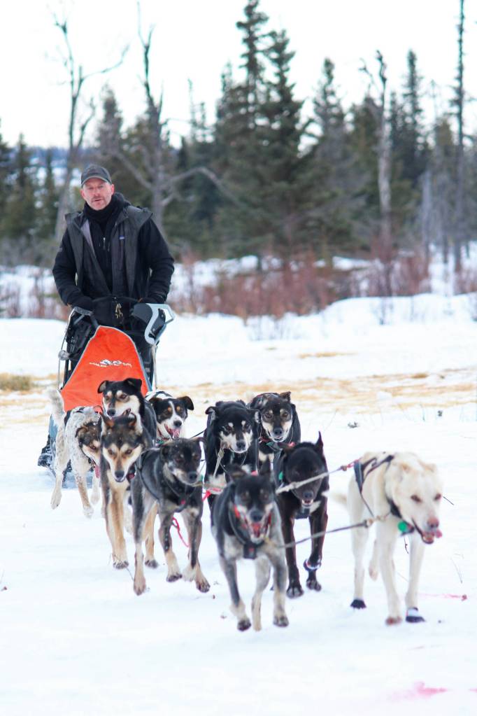 Musher Dave Turner pulls up to the finish line of the Tustumena 200 Sled Dog Race on Sunday at Freddies Roadhouse near Ninilchik. Turner took first place in the race that takes dog teams throughout the Caribou Hills on the lower Kenai Peninsula. (Photo by Megan Pacer/Homer News)