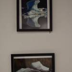 An image from the upcoming photography show features some of the work of Ben Boettger and Elizabeth Earl at the Kenai Fine Arts Center on Wednesday January 2, 2019. (Photo by Brian Mazurek/Peninsula Clarion)