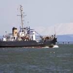 The 180-foot USCGC Ironwood, the first Coast Guard vessel to be homeported in Homer, was decommissioned in Kodiak on Oct. 6, 2000, and now serves as a training vessel for the Job Corps Tongue Point Seamanship Academy in Astoria, Oregon. (Photo courtesy of Daily Astorian).