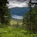Downtown Juneau as seen from the Mt. Bradley Trail in July 2017. (Michael Penn | Juneau Empire File)