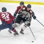 Kenai River Brown Bears forward Michael Spethmann tries to squeeze between Noah Wilson and Luke Ciolli of the Fairbanks Ice Dogs on Friday, Nov. 23, 2018, at the Soldotna Regional Sports Complex. (Photo by Jeff Helminiak/Peninsula Clarion)