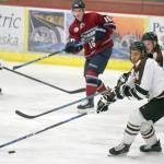 Kenai River Brown Bears defenseman Ryan Reid controls the puck Sunday, Nov. 25, 2018, against the Fairbanks Ice Dogs at the Soldotna Regional Sports Complex. (Photo by Jeff Helminiak/Peninsula Clarion)