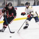 Homer hockey tops Kenai
