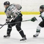 Kenai River Brown Bears forward Trey LaBarge protects the puck from Chippewa (Wisconsin) Steel defenseman Michael Black on Friday, Jan. 11, 2019, at the Soldotna Regional Sports Complex. (Photo by Jeff Helminiak/Peninsula Clarion)