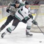 Chippewa (Wisconsin) Steel defenseman Spencer Oyler protects the puck from Brown Bears forward Brendan White on Friday, Jan. 11, 2019, at the Soldotna Regional Sports Complex. (Photo by Jeff Helminiak/Peninsula Clarion)