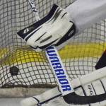 Homer hockey tops SoHi