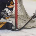 Brown Bears clash with Blues