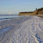 Eroding bluffs can be see on the Kenai Beach on Friday. (Photo by Victoria Petersen/Peninsula Clarion)