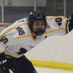 Palmer defeats Homer in state hockey final