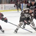 Brown Bears split with IceRays