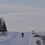 Sean Dunham rides during Fat Freddies Bike Race and Ramble on Saturday, Feb. 9, 2019, in the Caribou Hills near Freddies Roadhouse. (Photo by Jeff Helminiak/Peninsula Clarion)
