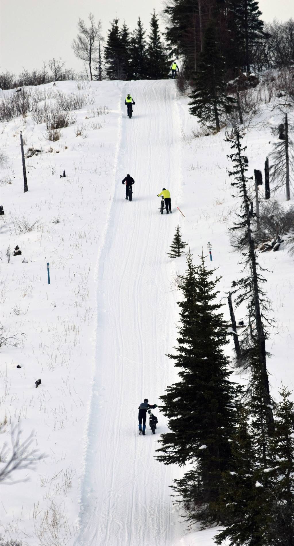 A hill challenges racers during Fat Freddies Bike Race and Ramble on Saturday, Feb. 9, 2019, in the Caribou Hills near Freddies Roadhouse. (Photo by Jeff Helminiak/Peninsula Clarion)