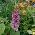Francie Roberts Everything Garden includes flower beds, fountains, a vegetable garden and a greenhouse. It was one of five gardens featured in the 2018 Homer Garden Tour. (Photo by Michael Armstrong/Homer News)