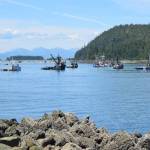 In this July 2018 file photo, Seine boats wait in line to set their nets at Amalga Harbor. (Kevin Gullufsen | Juneau Empire)