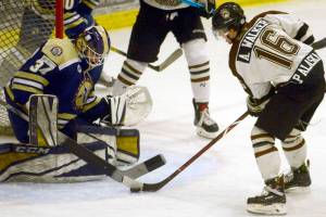 Brown Bears earn split with Jets