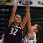 Nikolaevsks Elizabeth Fefelov (32) takes a shot in front of Newhalens Aileen Leste Wednesday at the Class 1A girls state basketball championships at the Alaska Airlines Center in Anchorage. (Photo by Joey Klecka/Peninsula Clarion)