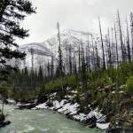 Opinion: Defend Pebble Mine review on its merits instead of blaming critics