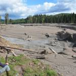 Aftermath of Mount Polley. (Courtesy Photo | Bonny Glambeck)
