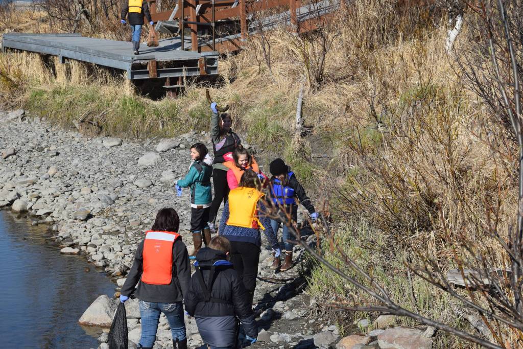Students from Redoubt Elementary pick up trash along the river during the 6th Annual Kids Kenai River Spring Cleanup at Swiftwater Park in Soldotna, Alaska on May 3, 2019. (Photo by Brian Mazurek/Peninsula Clarion)