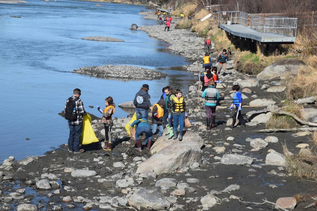 Students from Redoubt Elementary pick up trash along the river during the 6th Annual Kids Kenai River Spring Cleanup at Swiftwater Park in Soldotna, Alaska on May 3, 2019. (Photo by Brian Mazurek/Peninsula Clarion)