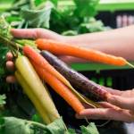 A customer admires the produce available for pick up at one of Alaska Food Hubs designated locations in this undated photo. (Photo courtesy of Robbi Mixon/Alaska Food Hub)