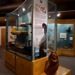 Some exhibits, such as a display that includes Don Rondas boat models, have been moved from the main gallery to the Marine Gallery as part of the Pratt Museums remodel, as seen here on May 28,2019, in Homer, Alaska. (Photo by Michael Armstrong/Homer News)
