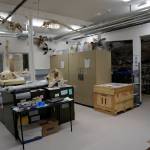 Windows into the Pratt Museum collections area allow visitors to look into the area without disturbing delicate artifacts, as seen on May 28, 2019, in Homer, Alaska. (Photo by MIchael Armstrong/Homer News)