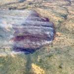 A photo of the Tustumena Lake Fire taken at 11 p.m. on Wednesday, June 5, 2019, illustrates the effect retardant and water drops had on the fire. (Photo by Jason Jordet/Alaska Division of Forestry)