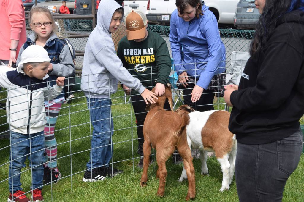 Kids pet goats from Mattis Farm during the Kenai River Festival at Soldotna Creek Park in Soldotna, Alaska on June 8, 2019. (Photo by Brian Mazurek/Peninsula Clarion)