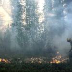 A member of the Gannet Glacier Type 2 Initial Attack Crew uses a drip torch during a burnout operation at the Swan Lake Fire on June 18, 2019. (Photo courtesy Alaska Division of Forestry)