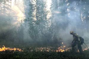 A member of the Gannet Glacier Type 2 Initial Attack Crew uses a drip torch during a burnout operation at the Swan Lake Fire on June 18, 2019. (Photo courtesy Alaska Division of Forestry)
