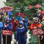 Advocates turn out in front of the Alaska State Capitol to show local support for the 2001 National Roadless Rule during a Tongass Rally on Saturday, June 22, 2019. (Michael Penn | Juneau Empire)