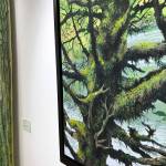 Larsen brings love of forest, trees to life in July exhibit