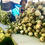 Michelle Hatten and her two children move quickly as they harvest peonies on a sunny Sunday morning on June 30, 2019, at Stone Circle Peonies in Fritz Creek, Alaska. (Photo by Sydney Leto)