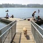 People with their dogs swarm to DeLong Lake hoping to stay cool in the record breaking heat in Anchorage, Alaska, Friday, July 5, 2019. Alaskans who routinely pack knit caps and fleece jackets in summer on Friday were swapping them for sunscreen and parasols amid a prolonged heatwave. Residents of Anchorage and other south-central cities completed a fifth week of above-normal temperatures, including a record high 90 degrees (32.22 Celsius) on Thursday, July 4, in the states largest city. (Anne Raup/Anchorage Daily News via AP)