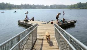 People with their dogs swarm to DeLong Lake hoping to stay cool in the record breaking heat in Anchorage, Alaska, Friday, July 5, 2019. Alaskans who routinely pack knit caps and fleece jackets in summer on Friday were swapping them for sunscreen and parasols amid a prolonged heatwave. Residents of Anchorage and other south-central cities completed a fifth week of above-normal temperatures, including a record high 90 degrees (32.22 Celsius) on Thursday, July 4, in the states largest city. (Anne Raup/Anchorage Daily News via AP)