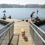 People with their dogs swarm to DeLong Lake hoping to stay cool in the record breaking heat in Anchorage, Alaska, Friday, July 5, 2019. Alaskans who routinely pack knit caps and fleece jackets in summer on Friday were swapping them for sunscreen and parasols amid a prolonged heatwave. Residents of Anchorage and other south-central cities completed a fifth week of above-normal temperatures, including a record high 90 degrees (32.22 Celsius) on Thursday, July 4, in the states largest city. (Anne Raup/Anchorage Daily News via AP)