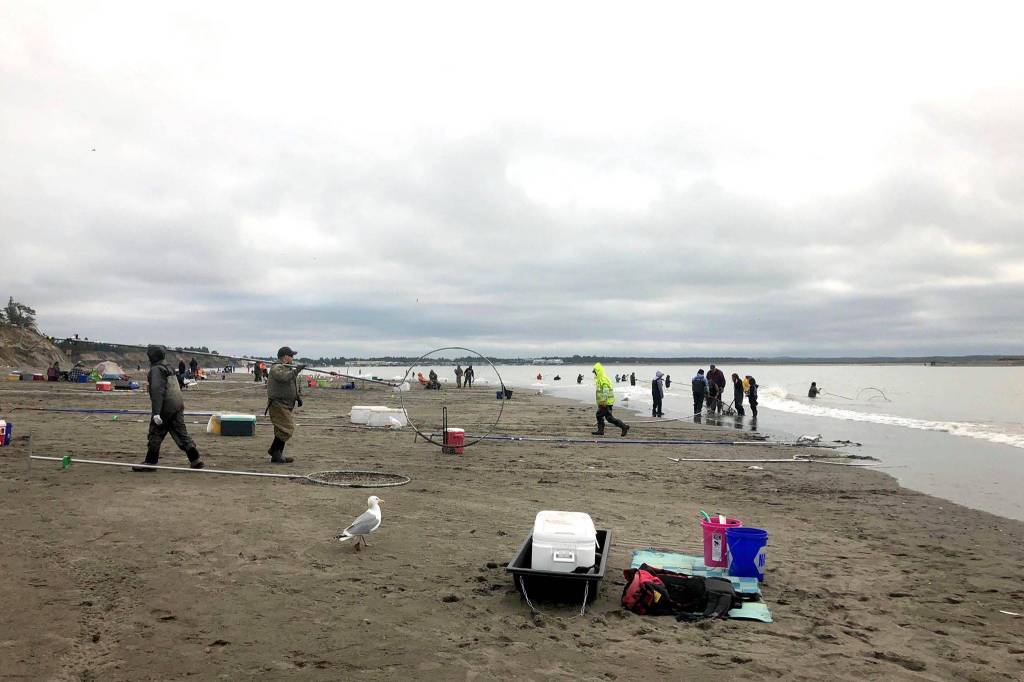 People from all over Alaska come to fish on opening day of the Kenai River personal use dipnetting fishery, Wednesday, July 10, 2019, in Kenai, Alaska. (Photo by Victoria Petersen/Peninsula Clarion)
