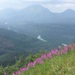 Smoke from the Swan Lake Fire can be seen over the Kenai River valley from Cecil Rhode mountain in Cooper Landing, Alaska, on Friday, July 12, 2019. (Photo by Jeff Helminiak)